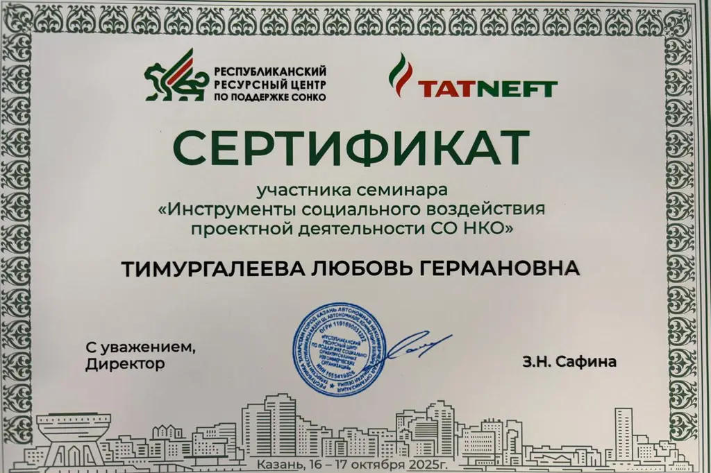 Инструменты социального воздействия проектной деятельности СО НКО